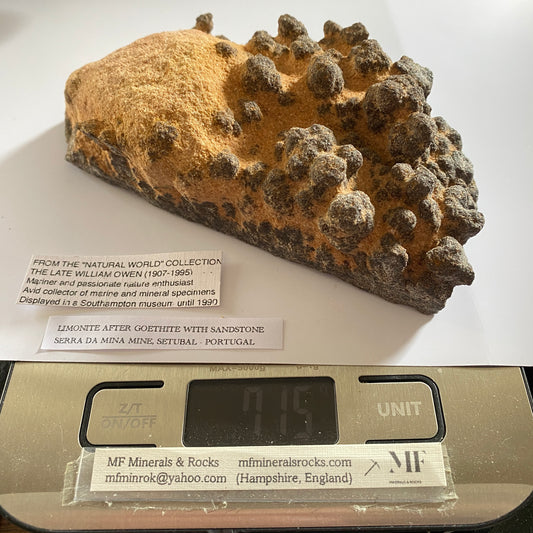 GOETHITE IN SANDSTONE - SERRA DA MINA MINE, SETUBAL, PORTUGAL. 717g MF804