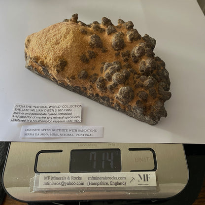 GOETHITE IN SANDSTONE - SERRA DA MINA MINE, SETUBAL, PORTUGAL. 717g MF804