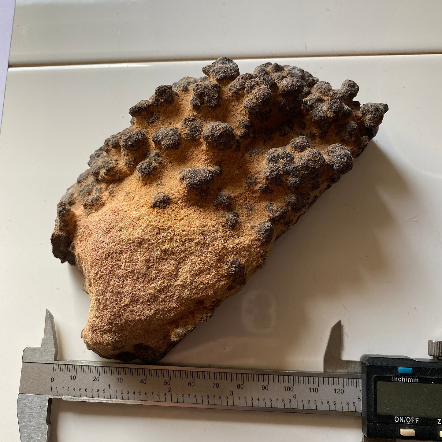 GOETHITE IN SANDSTONE - SERRA DA MINA MINE, SETUBAL, PORTUGAL. 717g MF804