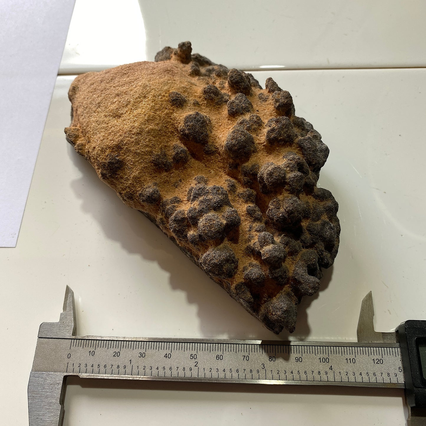 GOETHITE IN SANDSTONE - SERRA DA MINA MINE, SETUBAL, PORTUGAL. 717g MF804