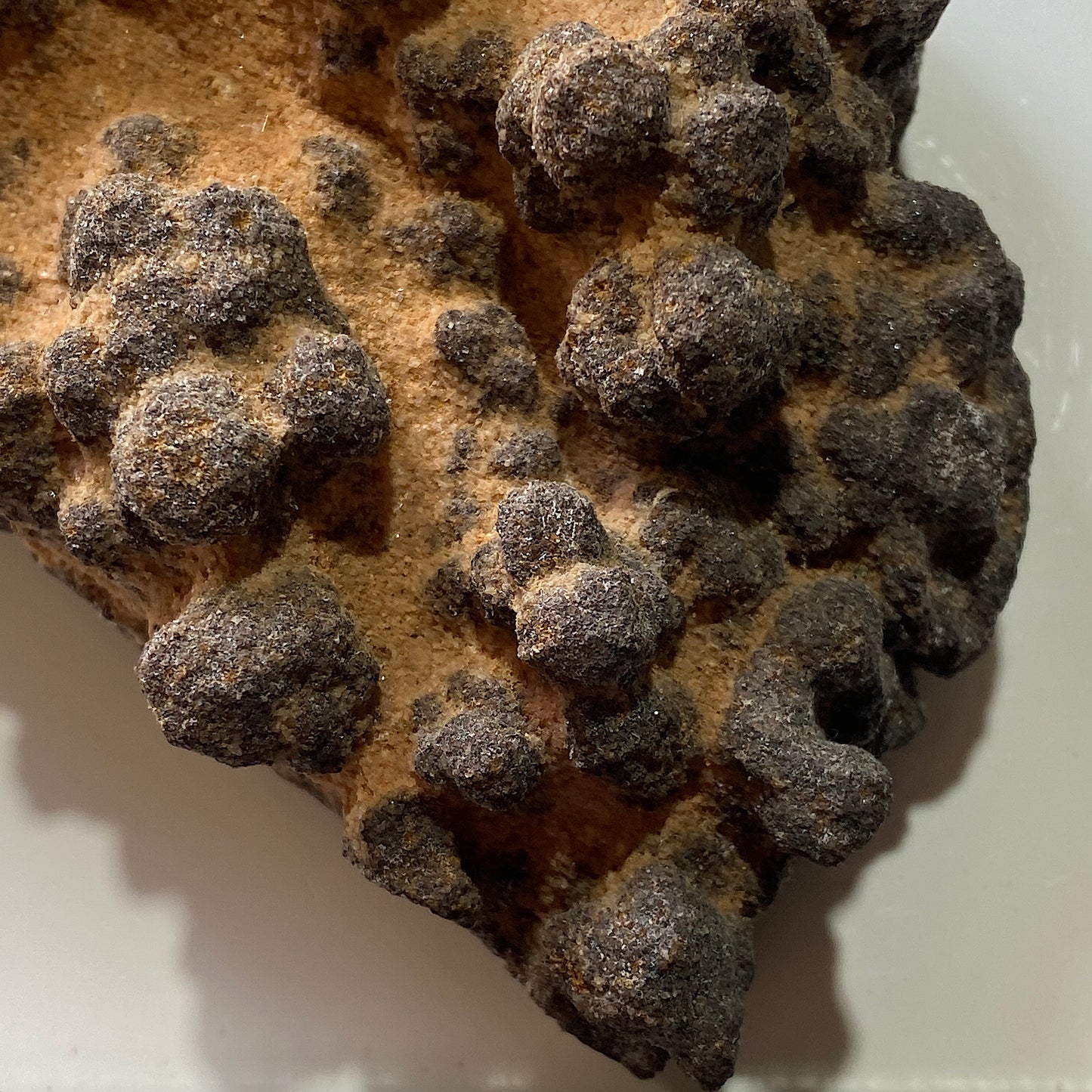 GOETHITE IN SANDSTONE - SERRA DA MINA MINE, SETUBAL, PORTUGAL. 717g MF804