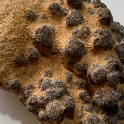 GOETHITE IN SANDSTONE - SERRA DA MINA MINE, SETUBAL, PORTUGAL. 717g MF804