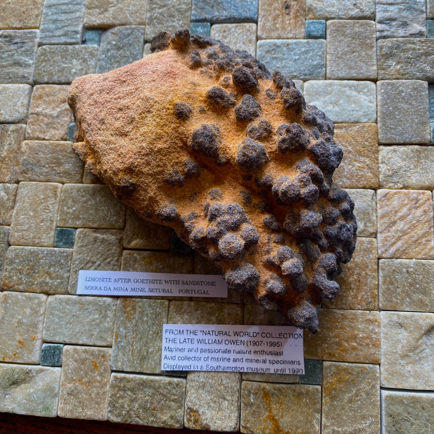 GOETHITE IN SANDSTONE - SERRA DA MINA MINE, SETUBAL, PORTUGAL. 717g MF804
