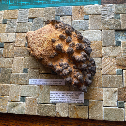 GOETHITE IN SANDSTONE - SERRA DA MINA MINE, SETUBAL, PORTUGAL. 717g MF804