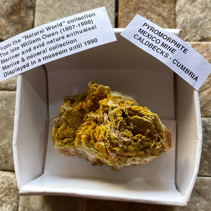 PYROMORPHITE : MEXICO MINE, CALDBECKS, CUMBRIA, ENGLAND 32g. MF5385
