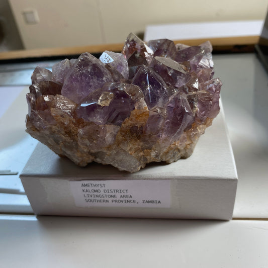 AMETHYST CRYSTAL CLUSTER - KALOMO, ZAMBIA  387g. MF9928