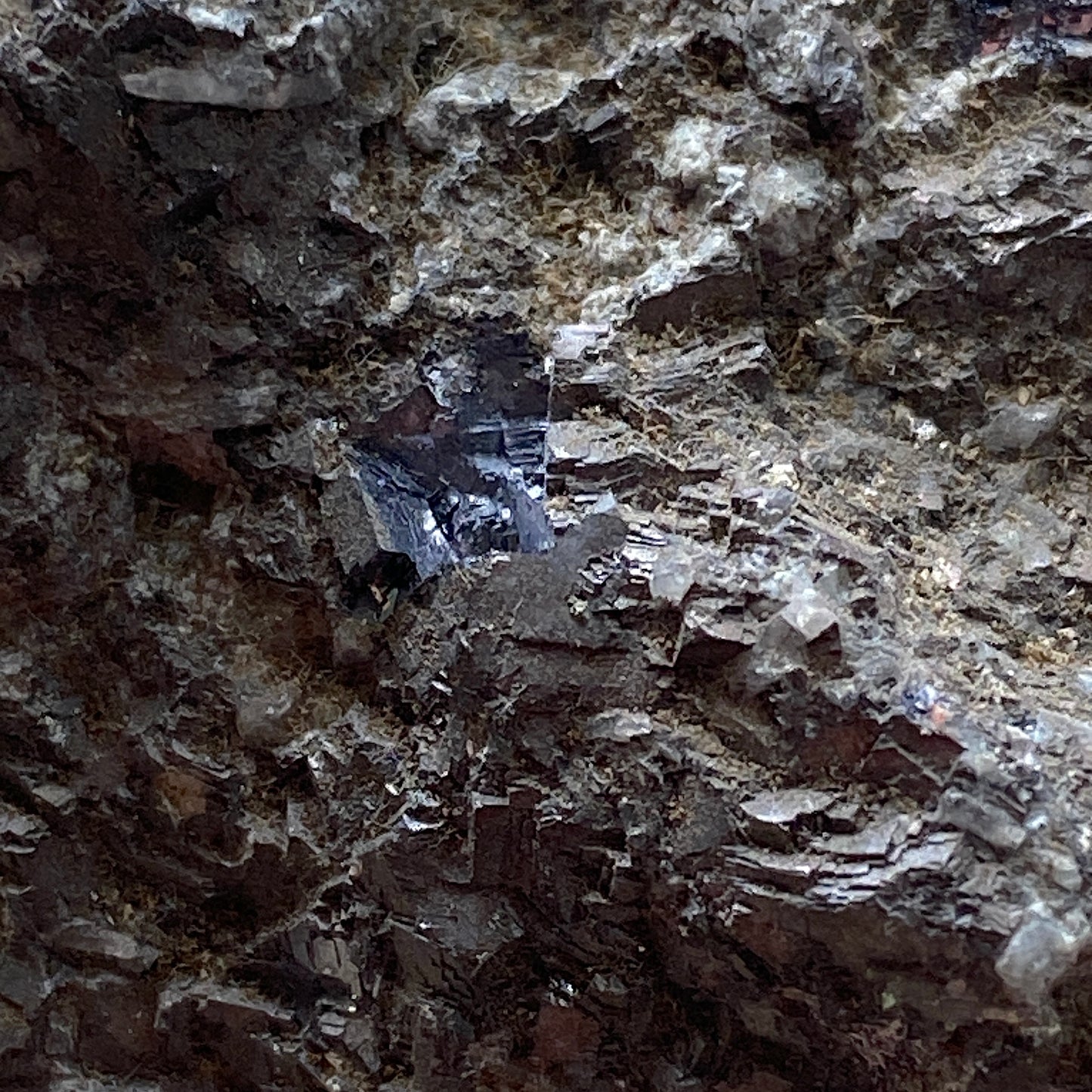 GALENA - ALLENHEADS MINE, ALLENDALE, NORTHUMBERLAND, ENGLAND 231g MF845