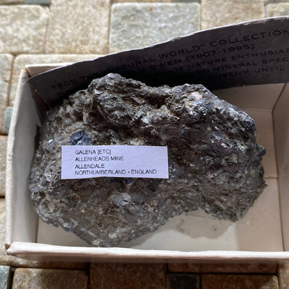 GALENA - ALLENHEADS MINE, ALLENDALE, NORTHUMBERLAND, ENGLAND 231g MF845