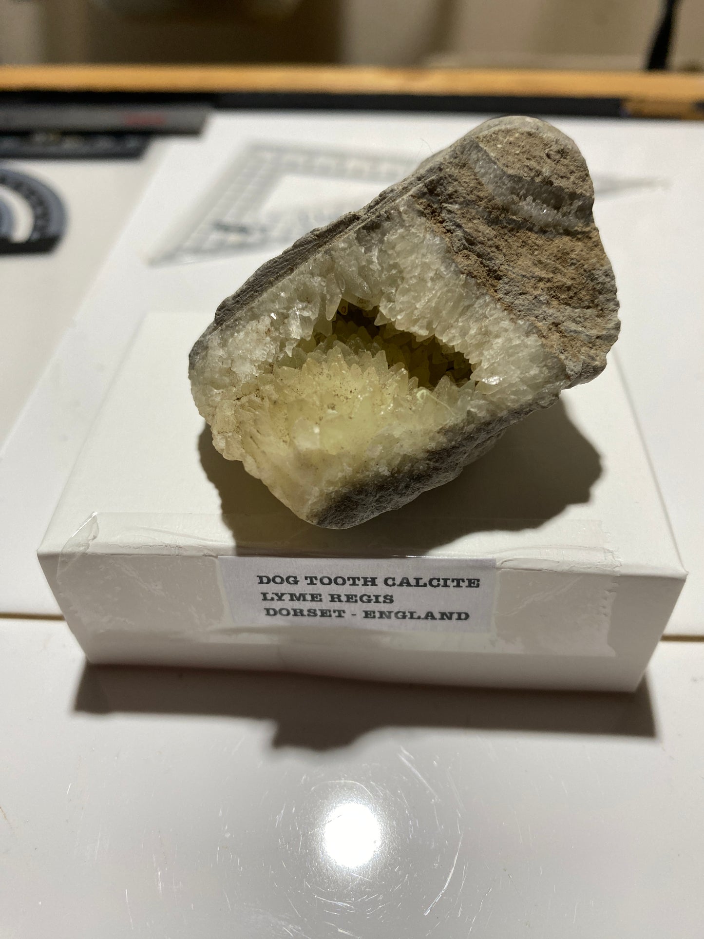 "DOG TOOTH" CALCITE IN MUDSTONE : LYME REGIS, DORSET, ENGLAND 98g MF4717