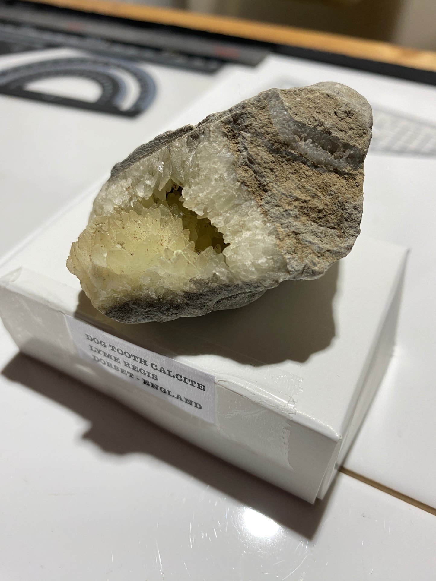 "DOG TOOTH" CALCITE IN MUDSTONE : LYME REGIS, DORSET, ENGLAND 98g MF4717