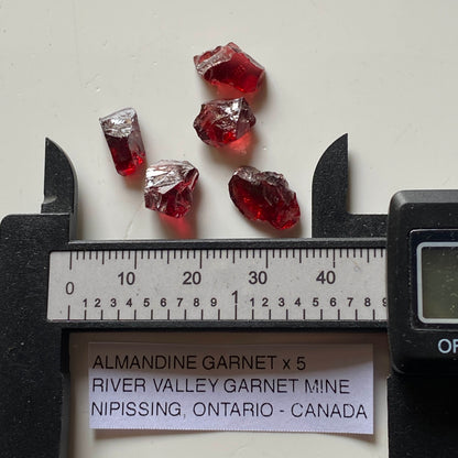 ALMANDINE GARNET x 5 : RIVER VALLEY GARNET MINE, ONTARIO, CANADA 20Ct  MF5387