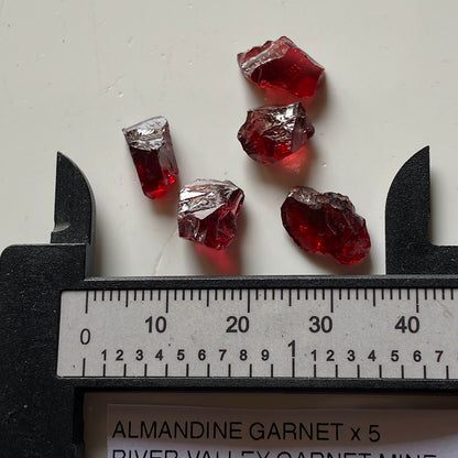 ALMANDINE GARNET x 5 : RIVER VALLEY GARNET MINE, ONTARIO, CANADA 20Ct  MF5387