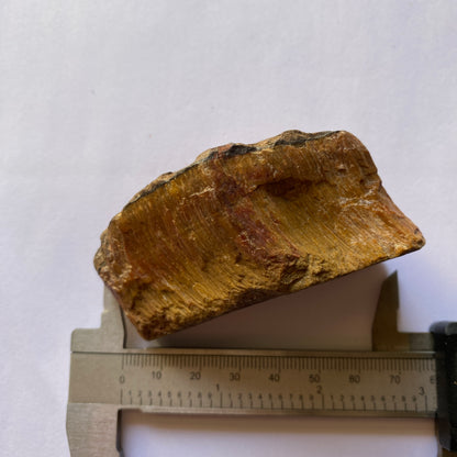 QUARTZ AFTER CROCIDOLITE [TIGERS EYE] UNTREATED - LESOTHO, AFRICA 159g MF841