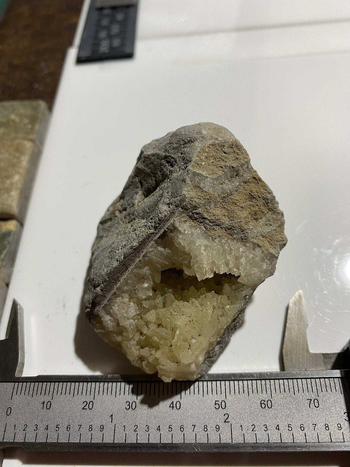 "DOG TOOTH" CALCITE IN MUDSTONE : LYME REGIS, DORSET, ENGLAND 98g MF4717