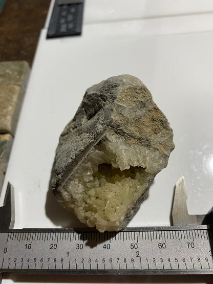 "DOG TOOTH" CALCITE IN MUDSTONE : LYME REGIS, DORSET, ENGLAND 98g MF4717