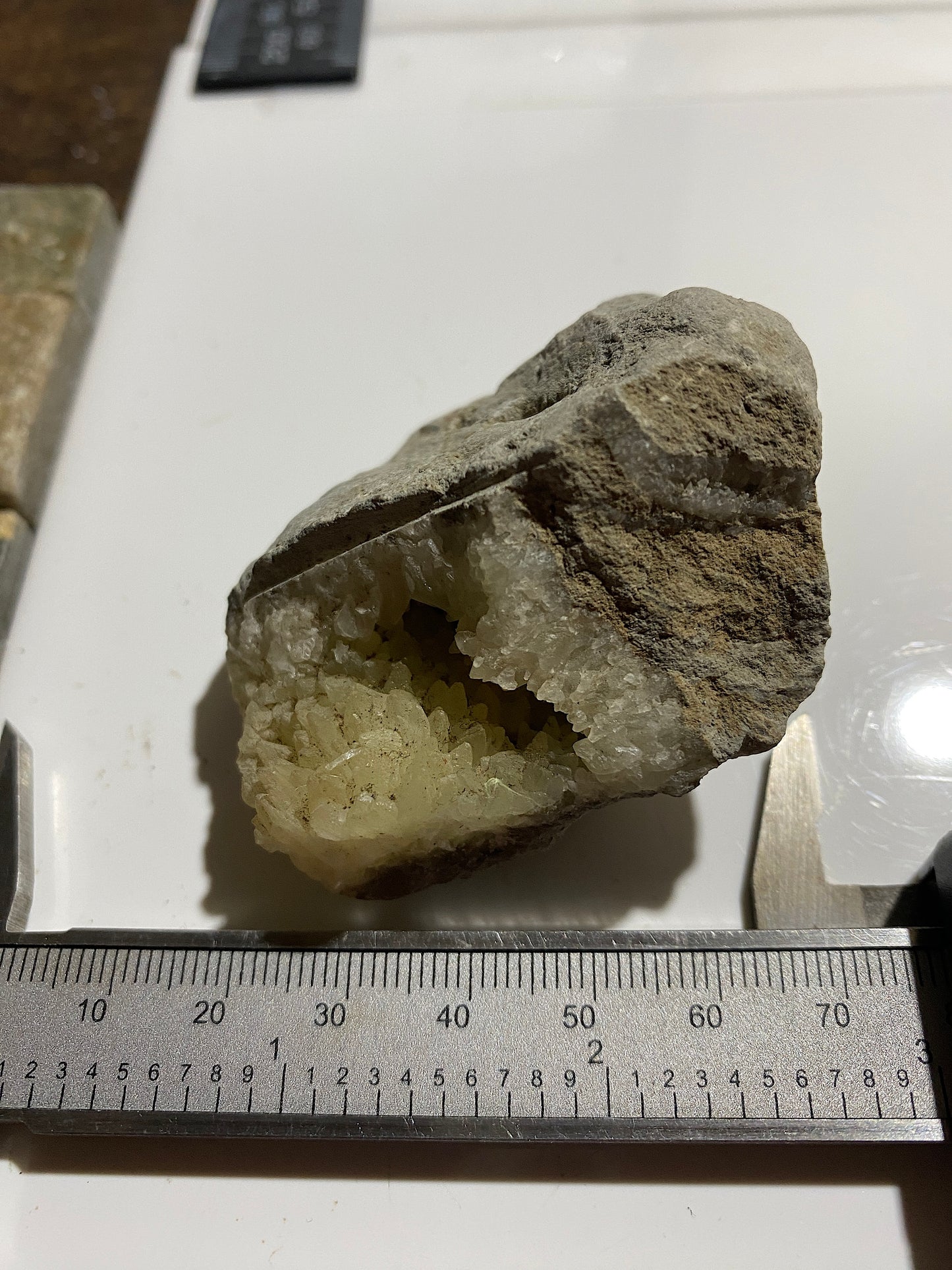 "DOG TOOTH" CALCITE IN MUDSTONE : LYME REGIS, DORSET, ENGLAND 98g MF4717