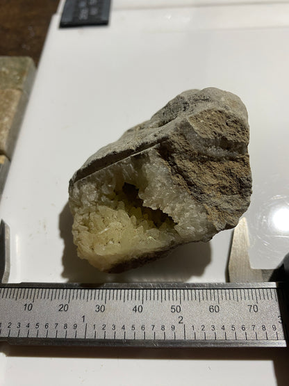 "DOG TOOTH" CALCITE IN MUDSTONE : LYME REGIS, DORSET, ENGLAND 98g MF4717