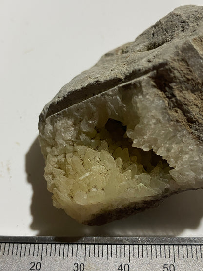 "DOG TOOTH" CALCITE IN MUDSTONE : LYME REGIS, DORSET, ENGLAND 98g MF4717