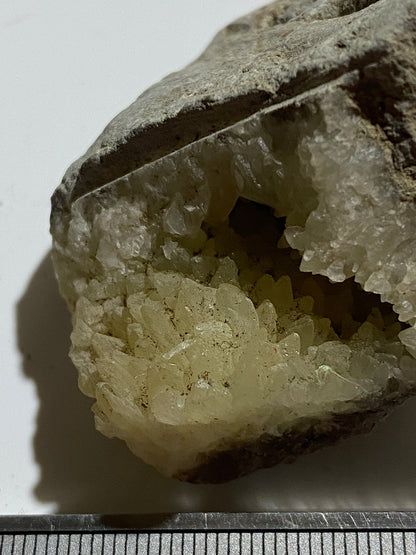 "DOG TOOTH" CALCITE IN MUDSTONE : LYME REGIS, DORSET, ENGLAND 98g MF4717