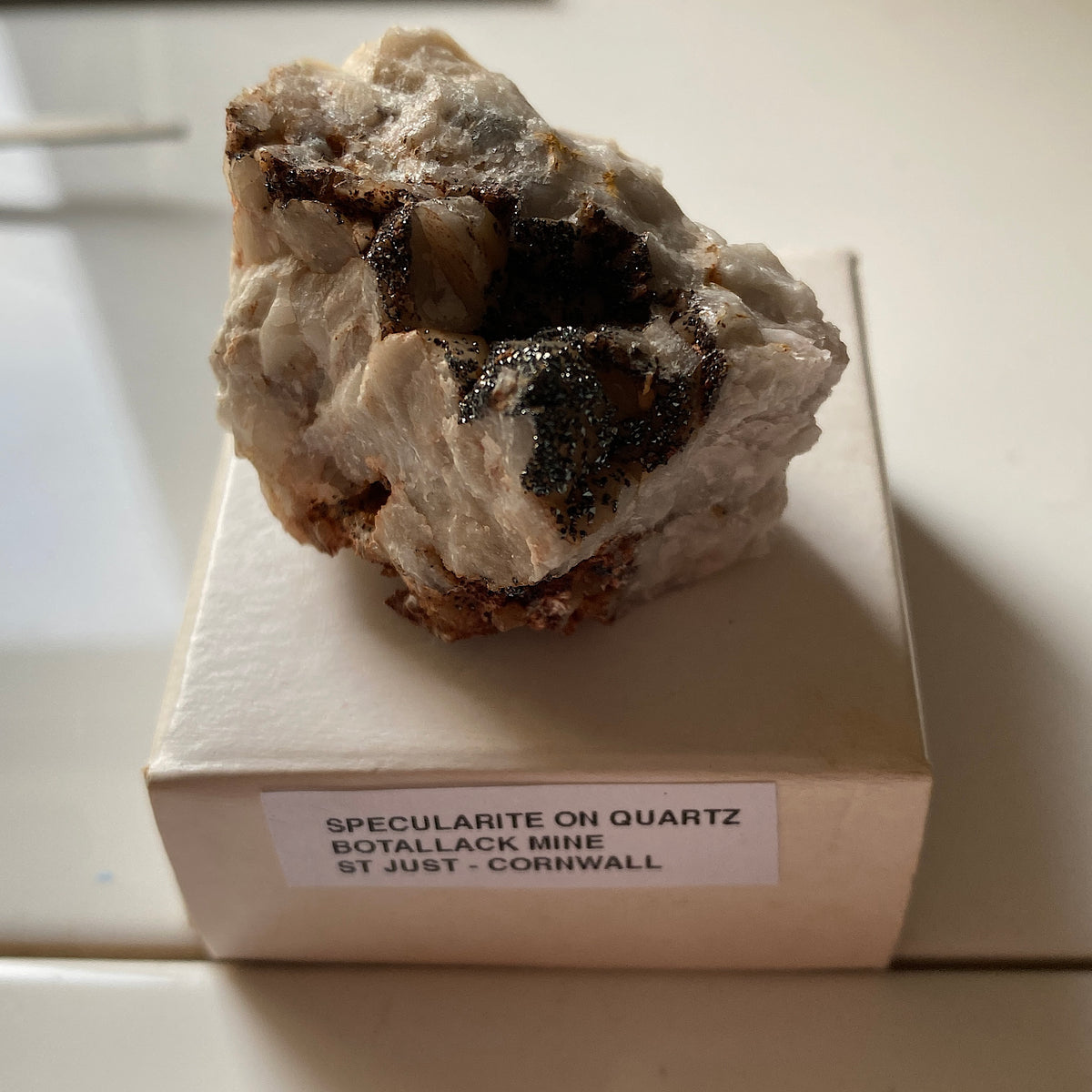 SPECULARITE ON QUARTZ : BOTALLACK MINE, ST JUST, CORNWALL 55g MF5388