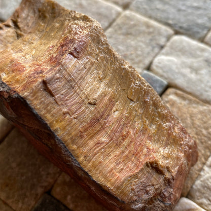 QUARTZ AFTER CROCIDOLITE [TIGERS EYE] UNTREATED - LESOTHO, AFRICA 159g MF841