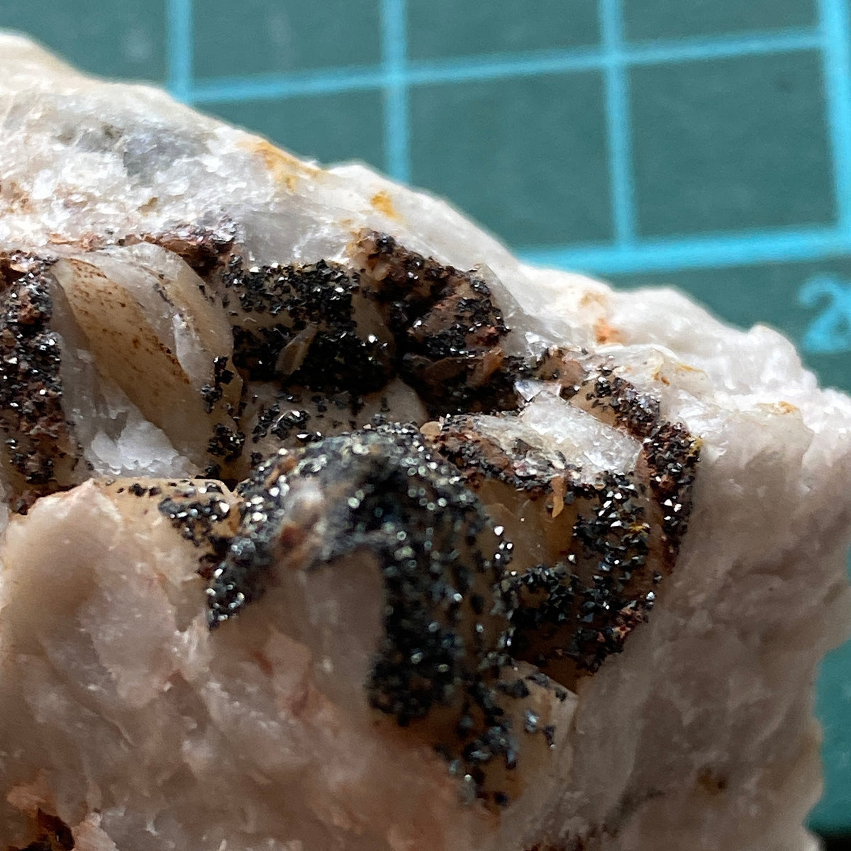 SPECULARITE ON QUARTZ : BOTALLACK MINE, ST JUST, CORNWALL 55g MF5388