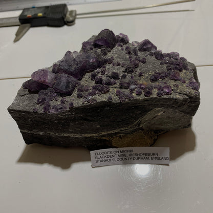 FLUORITE - BLACKDENE MINE, IRESHOPEBURN, CO DURHAM LARGE 724g MF4273