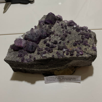 FLUORITE - BLACKDENE MINE, IRESHOPEBURN, CO DURHAM LARGE 724g MF4273