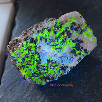 ZINCITE/FRANKLINIE/WILLEMITE ETC FROM FRANKLIN MINE, USA 160g MF808