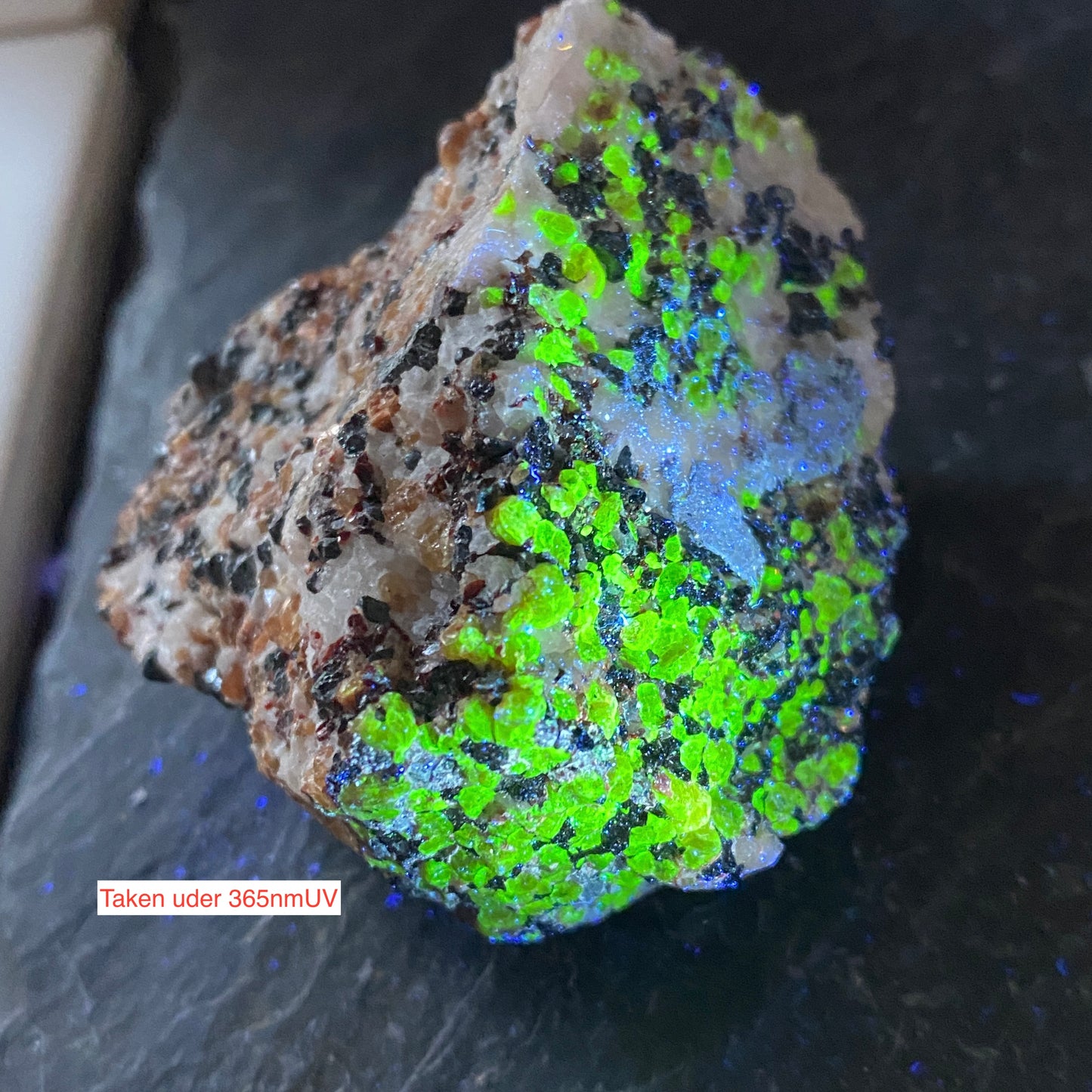 ZINCITE/FRANKLINIE/WILLEMITE ETC FROM FRANKLIN MINE, USA 160g MF808