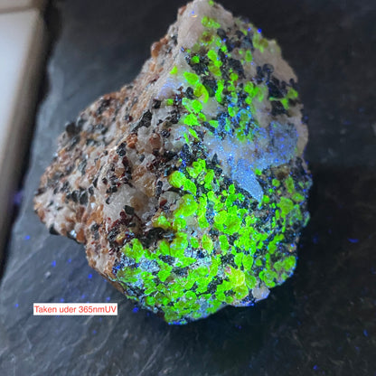 ZINCITE/FRANKLINIE/WILLEMITE ETC FROM FRANKLIN MINE, USA 160g MF808
