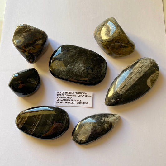 POLISHED SPECIMENS FROM BLACK MARBLE FORMATIONS MOROCCO  354g MF4274