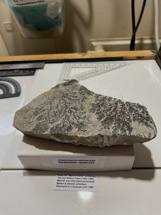 PYROLUSITE/MANGANESE DENDRITES : SOLNHOFEN,  BAVARIA, GERMANY 286g MF4720