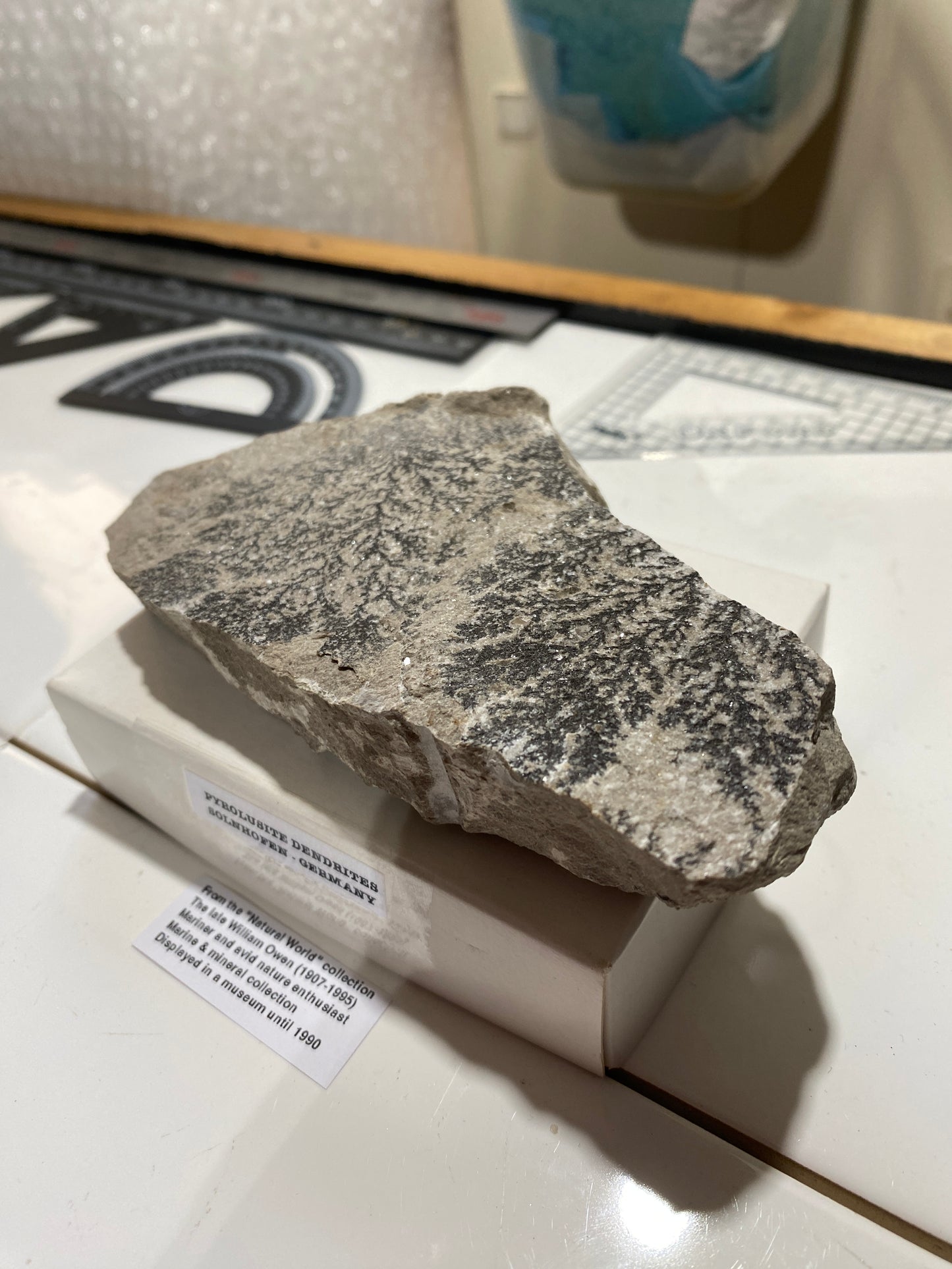 PYROLUSITE/MANGANESE DENDRITES : SOLNHOFEN,  BAVARIA, GERMANY 286g MF4720