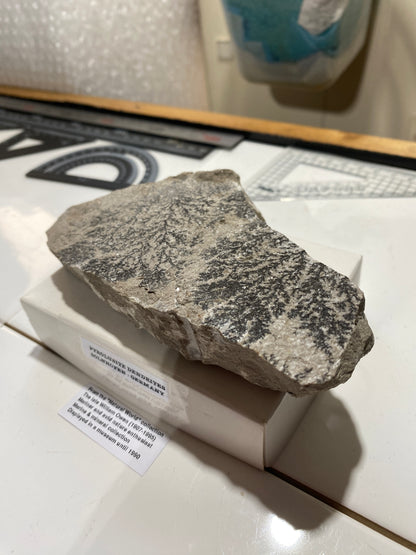 PYROLUSITE/MANGANESE DENDRITES : SOLNHOFEN,  BAVARIA, GERMANY 286g MF4720