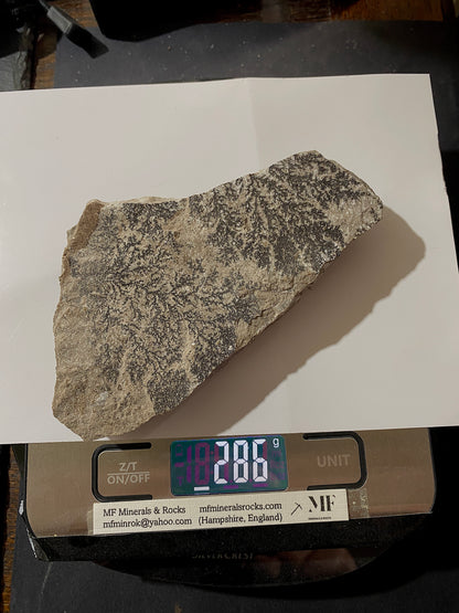 PYROLUSITE/MANGANESE DENDRITES : SOLNHOFEN,  BAVARIA, GERMANY 286g MF4720