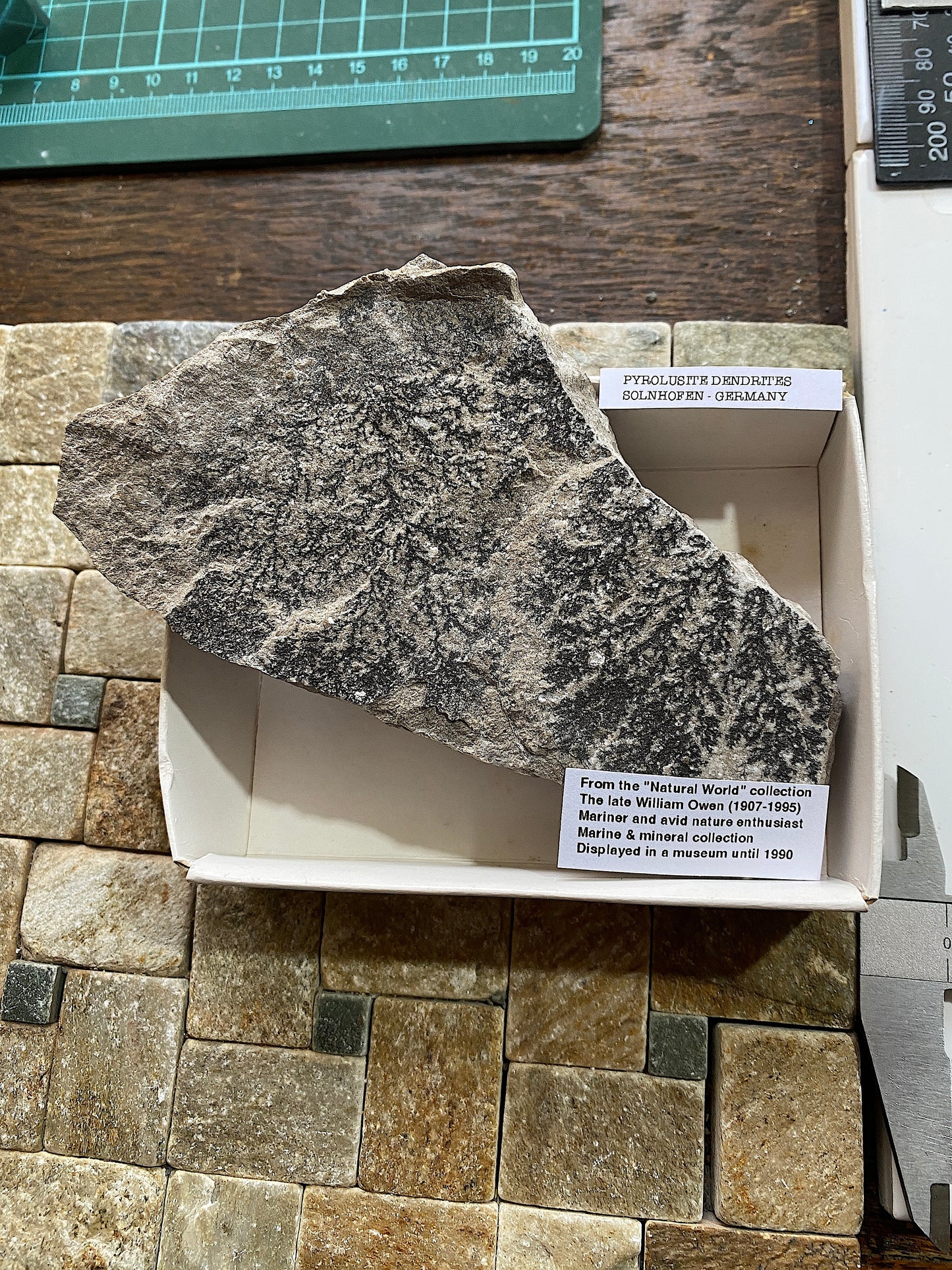 PYROLUSITE/MANGANESE DENDRITES : SOLNHOFEN,  BAVARIA, GERMANY 286g MF4720