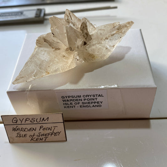 CRYSTALLINE GYPSUM : WATDEN POINT, ISLE OF SHEPPEY, KENT, ENGLAND 27g MF5391