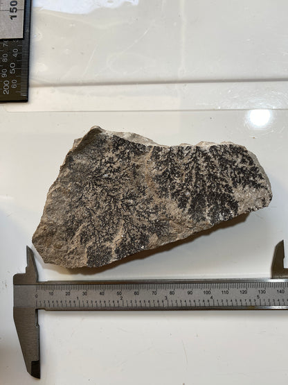 PYROLUSITE/MANGANESE DENDRITES : SOLNHOFEN,  BAVARIA, GERMANY 286g MF4720