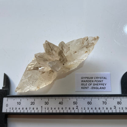 CRYSTALLINE GYPSUM : WATDEN POINT, ISLE OF SHEPPEY, KENT, ENGLAND 27g MF5391