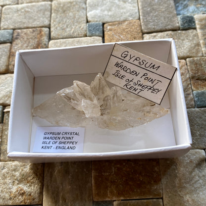 CRYSTALLINE GYPSUM : WATDEN POINT, ISLE OF SHEPPEY, KENT, ENGLAND 27g MF5391
