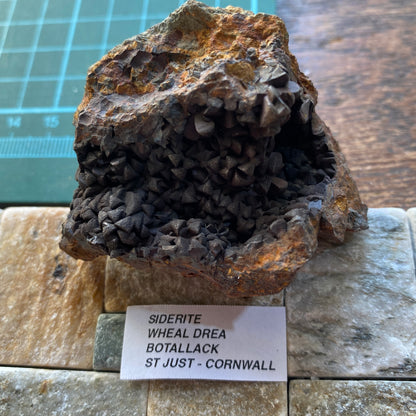 SIDERITE : WHEAL DREA, BOTALLACK, ST JUST, CORNWALL, ENGLAND  100g MF5392