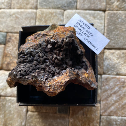 SIDERITE : WHEAL DREA, BOTALLACK, ST JUST, CORNWALL, ENGLAND  100g MF5392