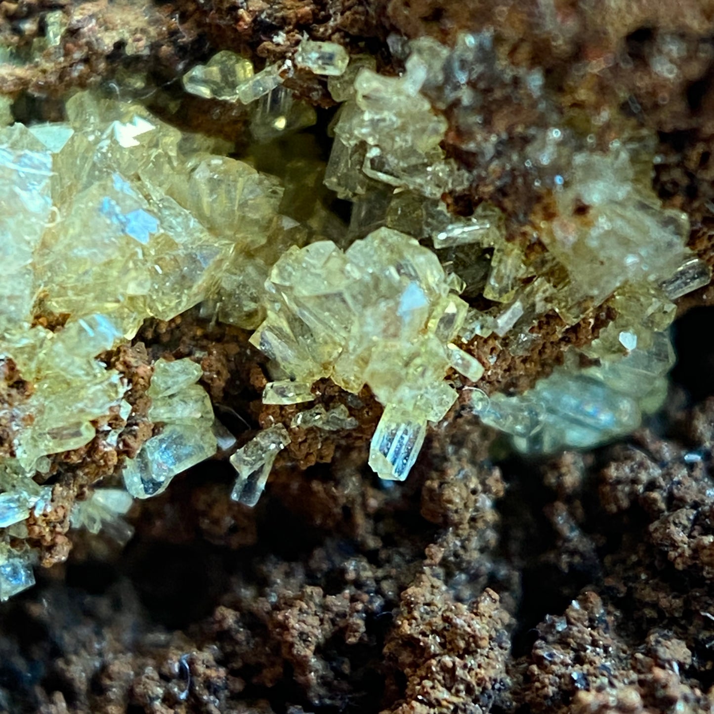 ADAMITE ON LIMONITE - OJUELA MINE, MAPIMI, DURANGO, MEXICO. 50g MF1998