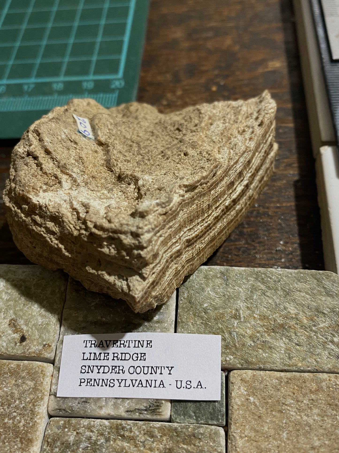 TRAVERTINE : LIME RIDGE, SNYDER COUNTY, PENNSYLVANIA, U.S.A.  97 g. MF4721