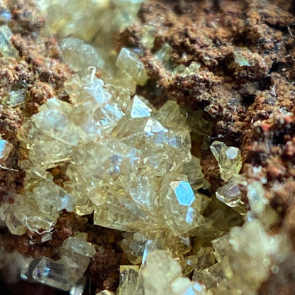 ADAMITE ON LIMONITE - OJUELA MINE, MAPIMI, DURANGO, MEXICO. 50g MF1998