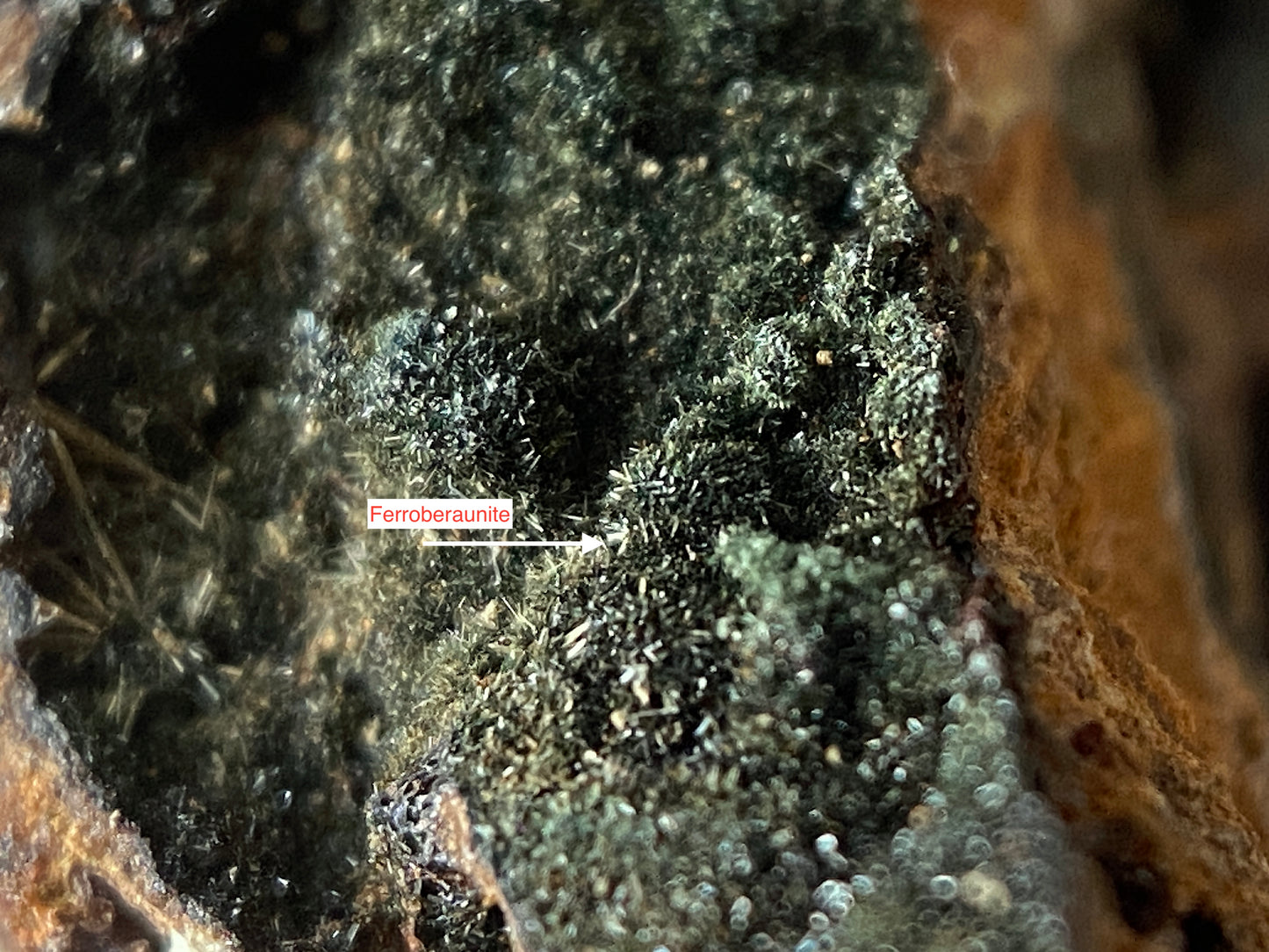 FERROBERAUNITE [ETC] : GRAVEL HILL MINE, PERRANZABULOE, CORNWALL. 26g MF4726