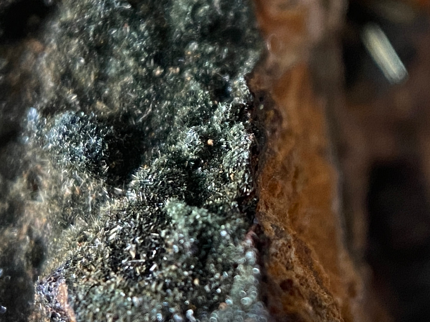 FERROBERAUNITE [ETC] : GRAVEL HILL MINE, PERRANZABULOE, CORNWALL. 26g MF4726