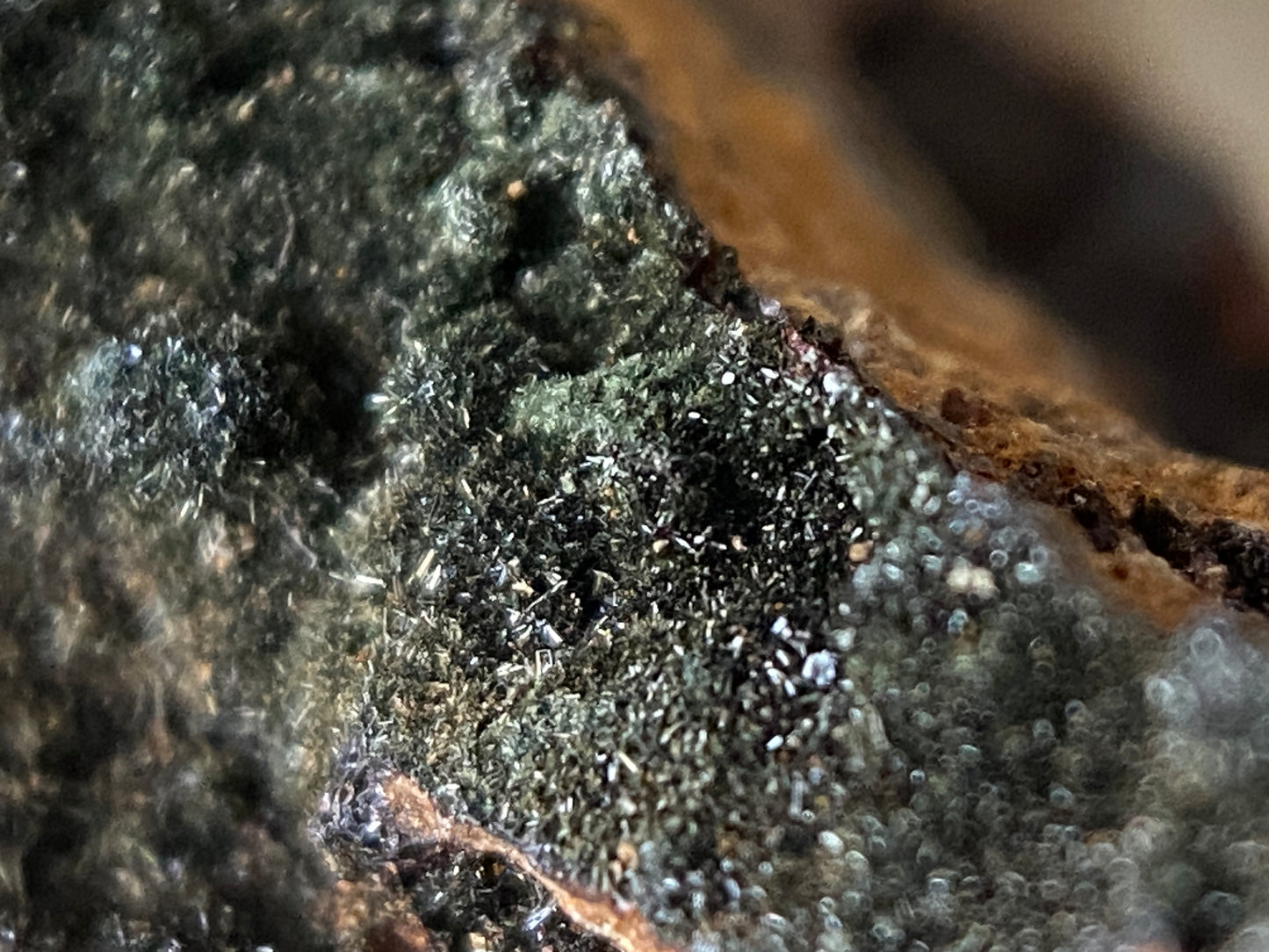 FERROBERAUNITE [ETC] : GRAVEL HILL MINE, PERRANZABULOE, CORNWALL. 26g MF4726