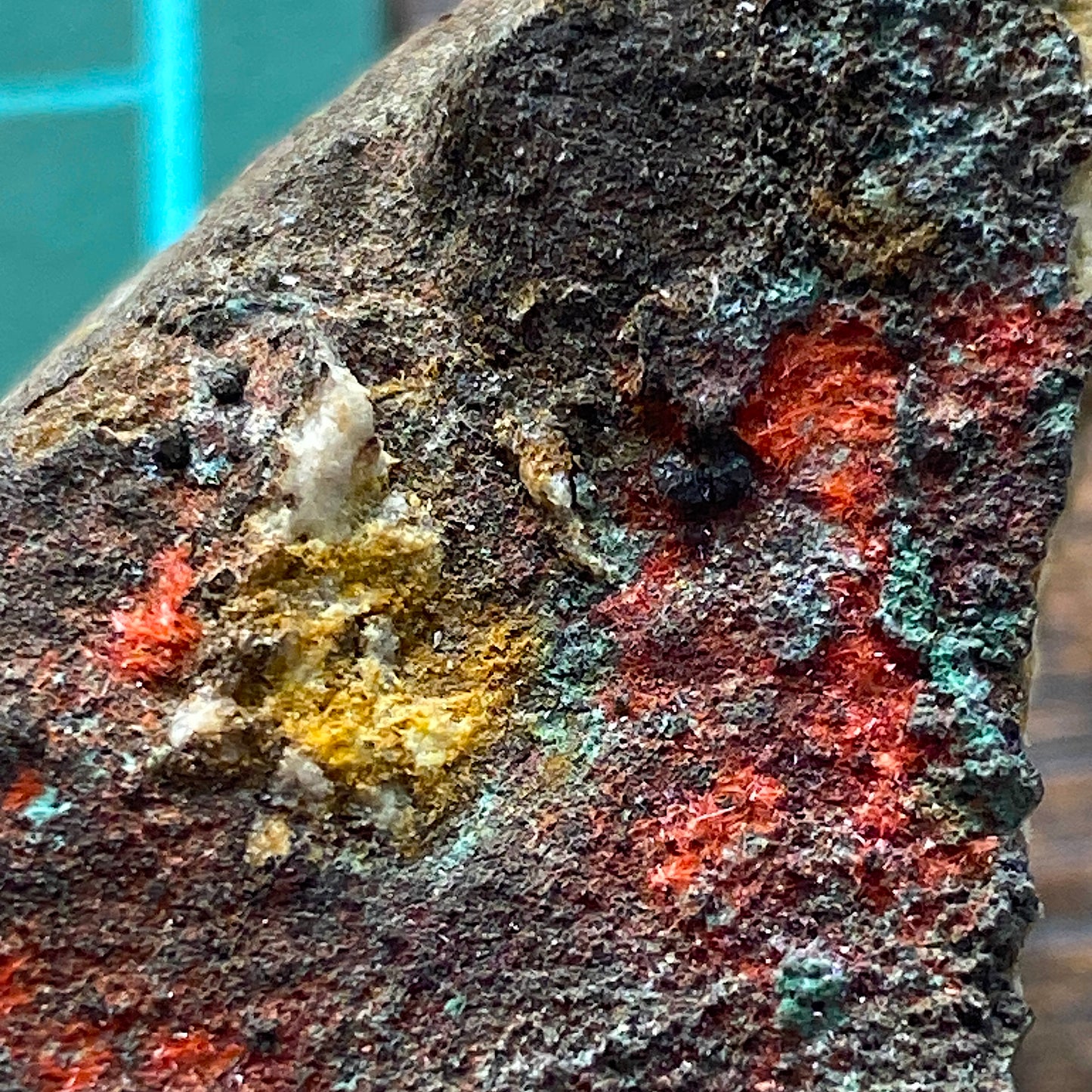 CHALCOTRICHITE ON MATRIX - RAY MINE, SCOTT MOUNTAIN, PINAL COUNTY, ARIZONA, U.S.A. 108g MF832